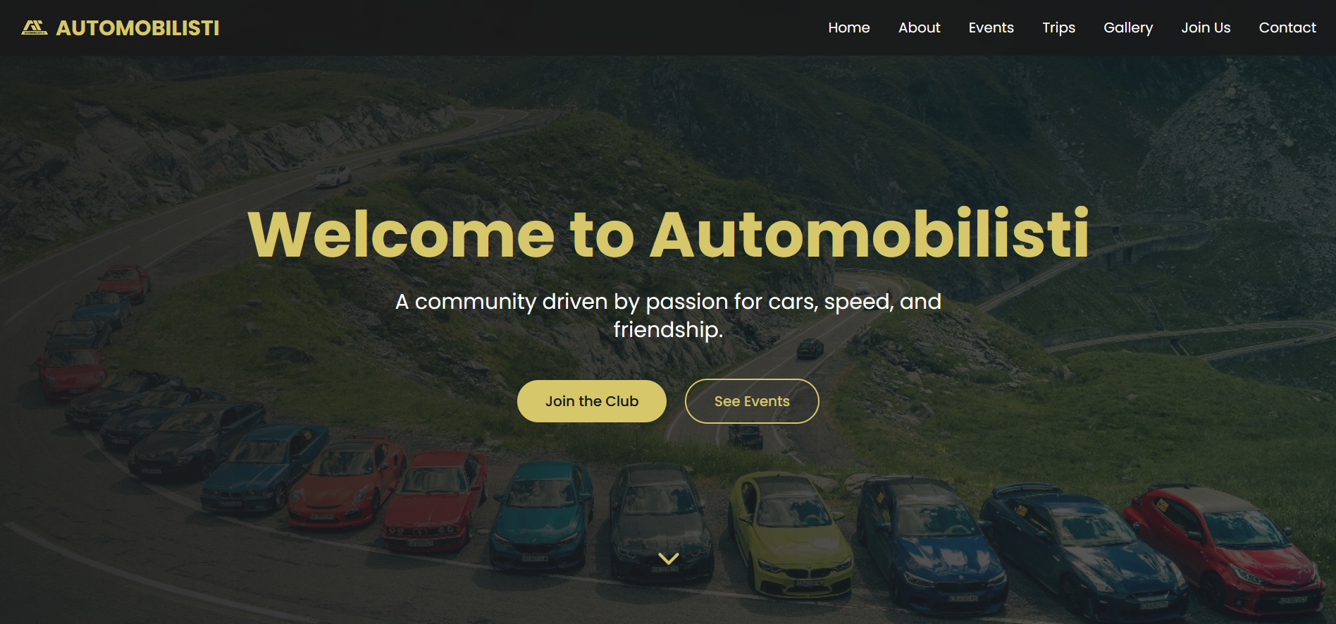Automobilisti